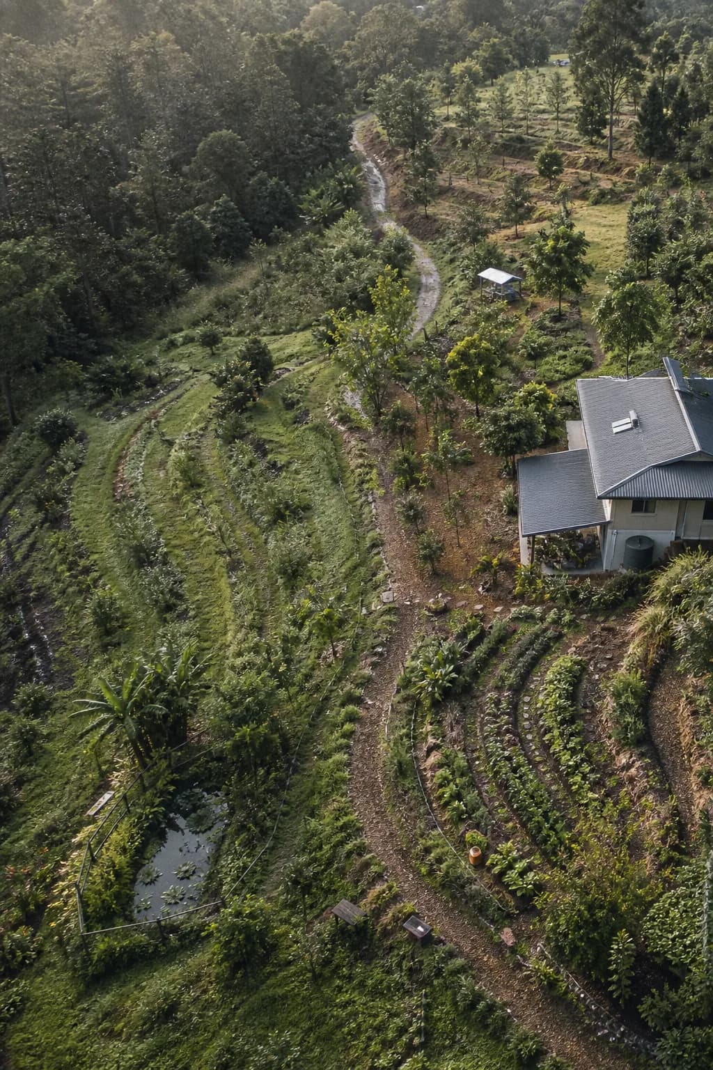 Photoreal concept of a hillside property from above, with terraced planting beds and winding paths
